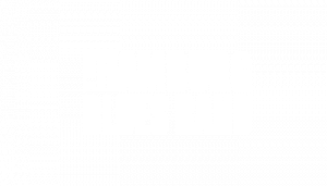 The Hamburg Blues Band